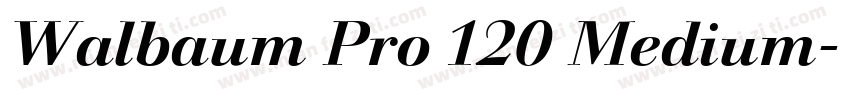 Walbaum Pro 120 Medium字体转换